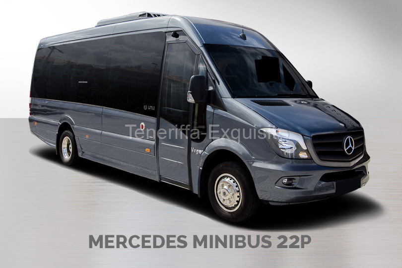 mercedes-minibus-22p