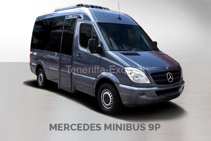 mercedes-minibus-9p