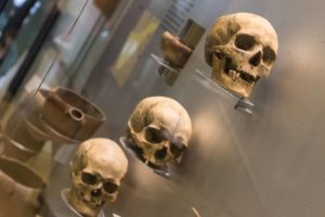 Teneriffa-Exquisit Komfort Tour Santa Cruz