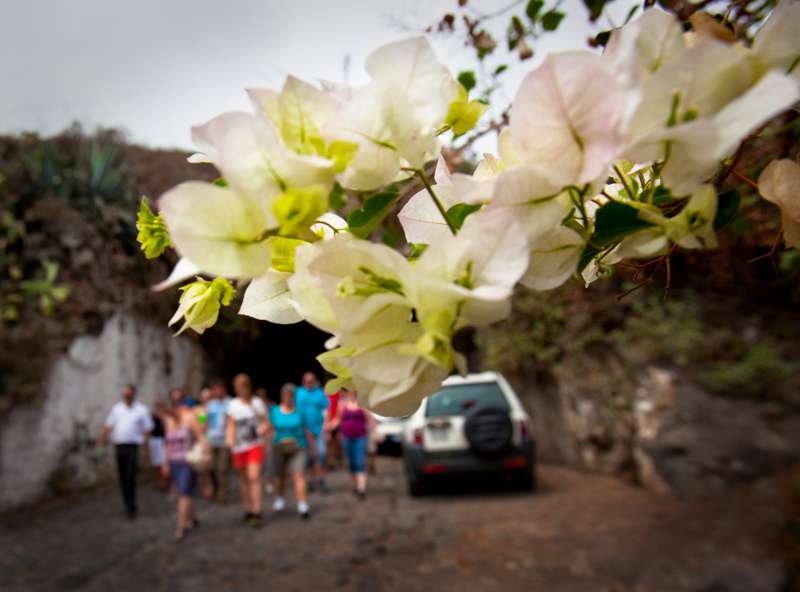 Teneriffa-Exquisit Komfort Tour Masca und Teide