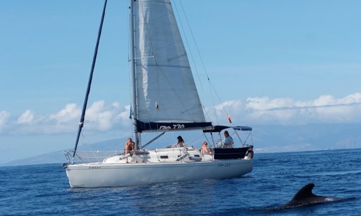 Gran Azor Privat Charter 3 Stunden Segelyacht
