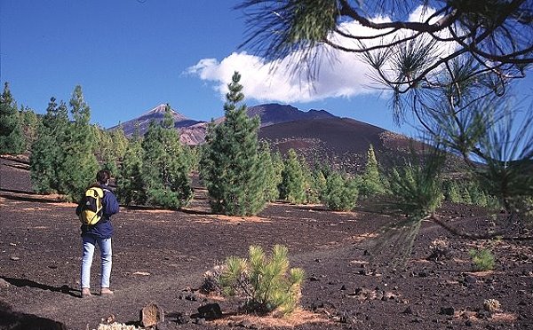 Teneriffa Dienstag Wandertour Drei Vulkane