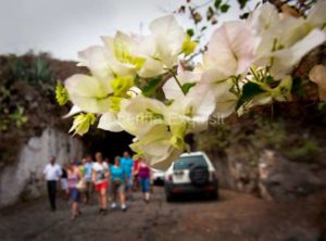 Ausflug Teide Masca Private Komfort Tour