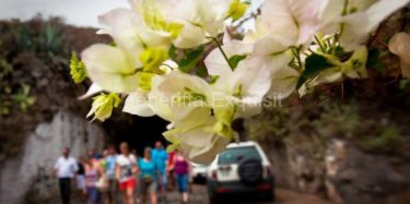 Ausflug Teide Masca Private Komfort Tour