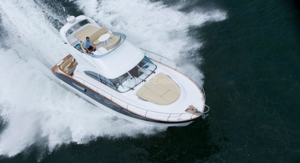 Whale Watching 3 Stunden Privatcharter Motoryacht No Worries