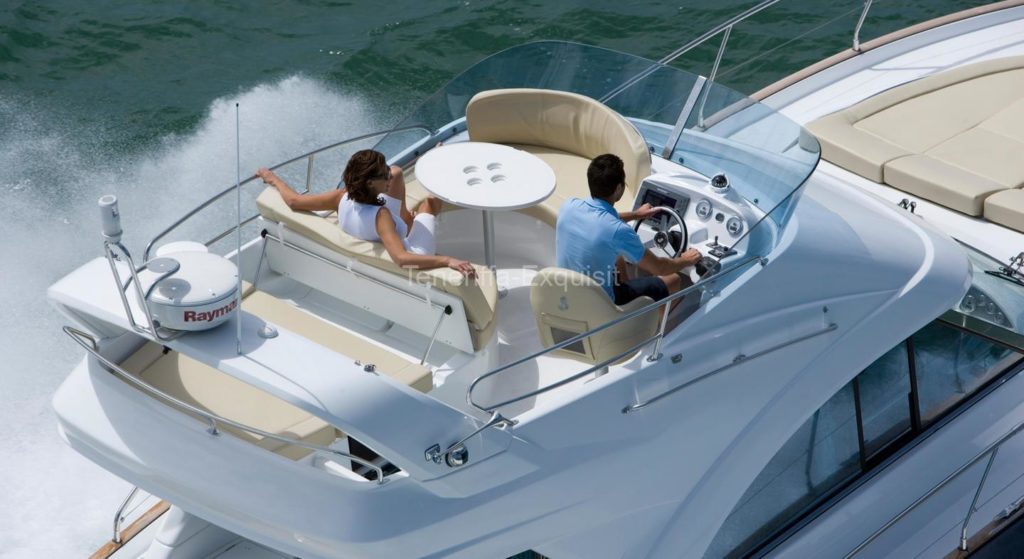 Whale Watching 2 Stunden Privatcharter Motoryacht No Worries