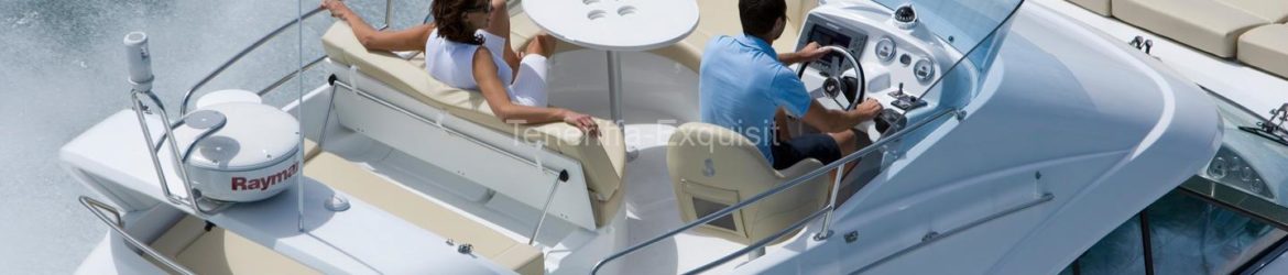 Whale Watching 2 Stunden Privatcharter Motoryacht No Worries