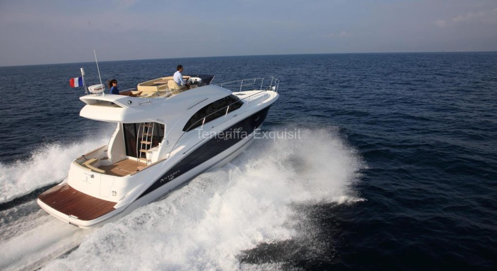 Whale Watching 8 Stunden Privatcharter Motoryacht No Worries