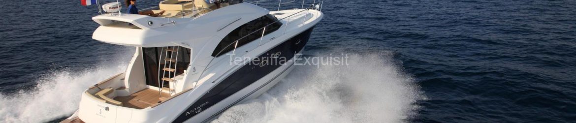 Whale watching exklusive Motoryacht No Worries privater 8 Stunden Charter