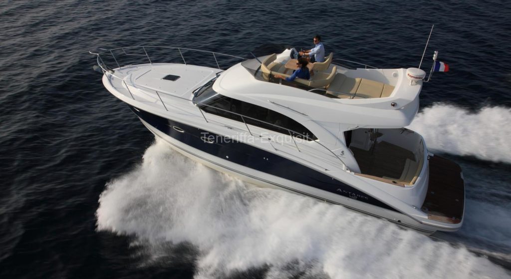 Whale watching exklusive Motoryacht No Worries privater 4 Stunden Charter