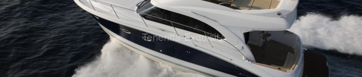 Whale Watching 4 Stunden Privatcharter