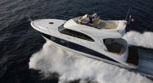 Whale Watching 4 Stunden Privatcharter