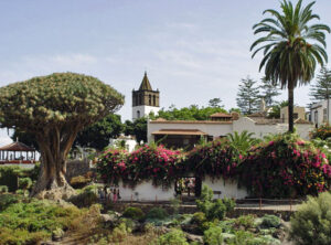 Icod de los Vinos, Teneriffa