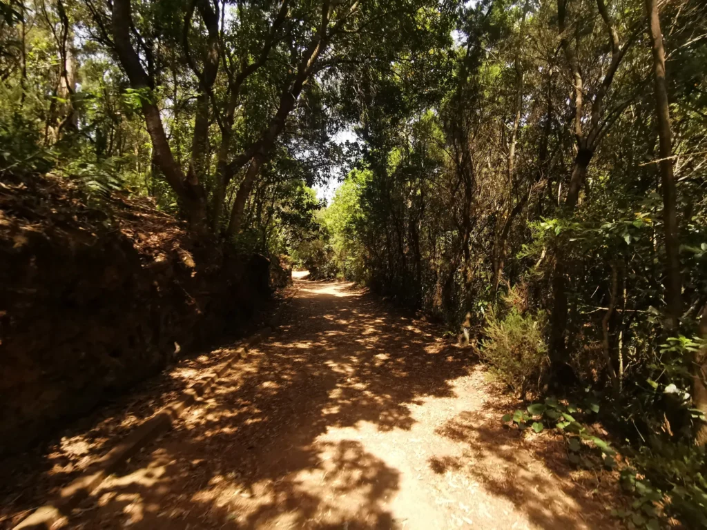 Tacoronte Wandern und Strandurlaub Überwintern Langzeiturlaub