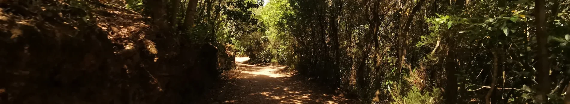 Tacoronte Wandern und Strandurlaub Überwintern Langzeiturlaub