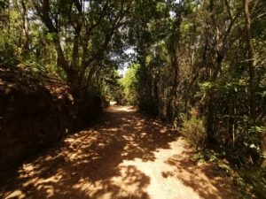 Tacoronte Wandern und Strandurlaub Überwintern Langzeiturlaub